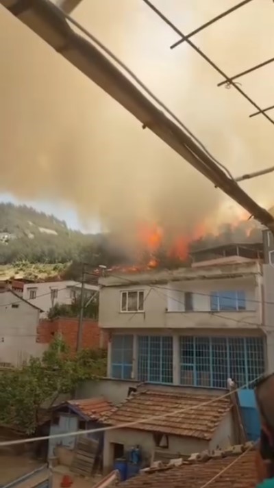 Bursa’da orman yangını kontrol altına alındı