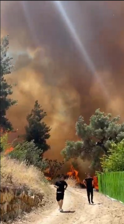 Bursa&rsquo;da orman yangını kontrol altına alındı
