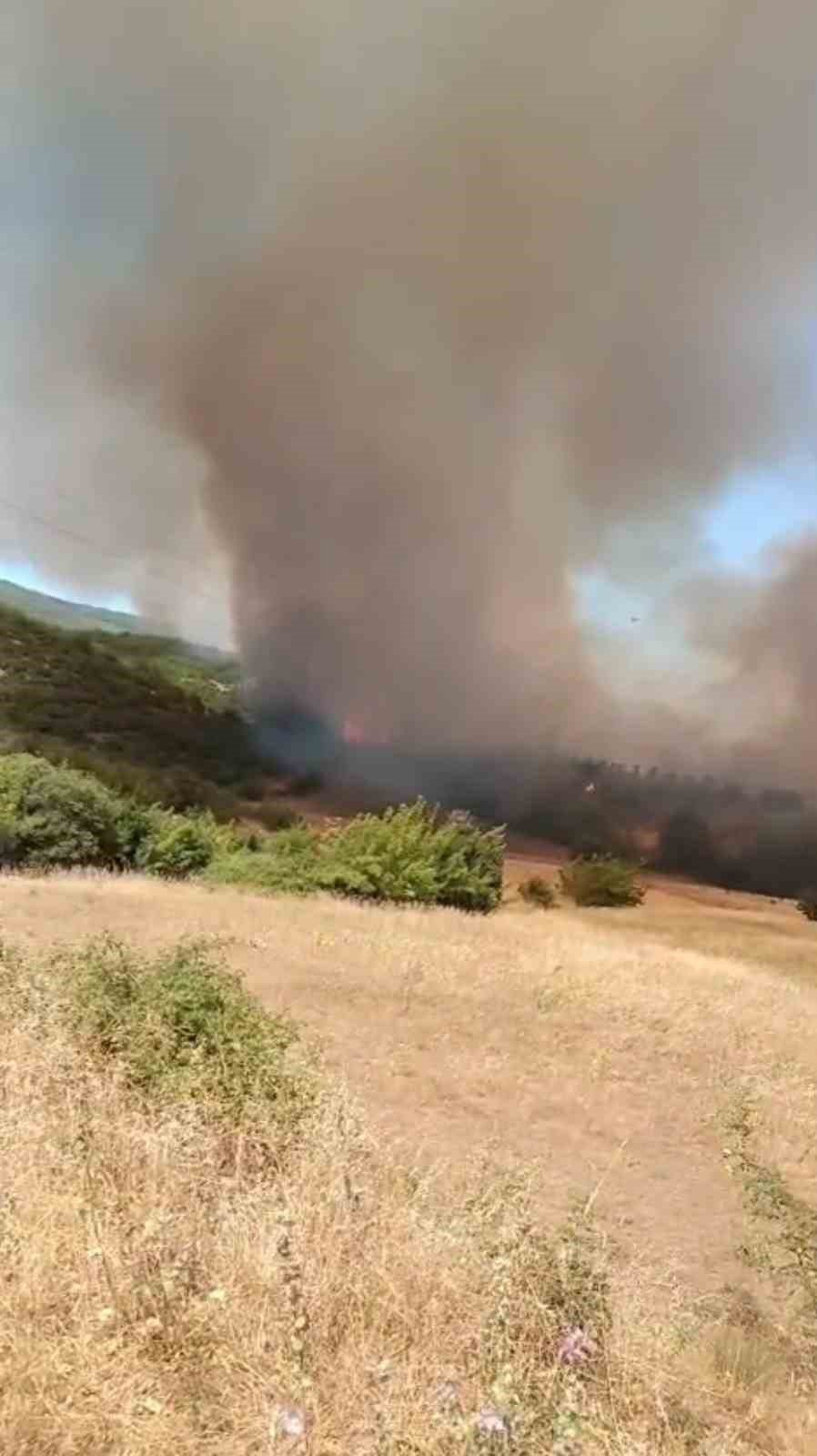 Yenişehir&rsquo;deki yangının dumanları Bursa&rsquo;dan g&ouml;r&uuml;l&uuml;yor
