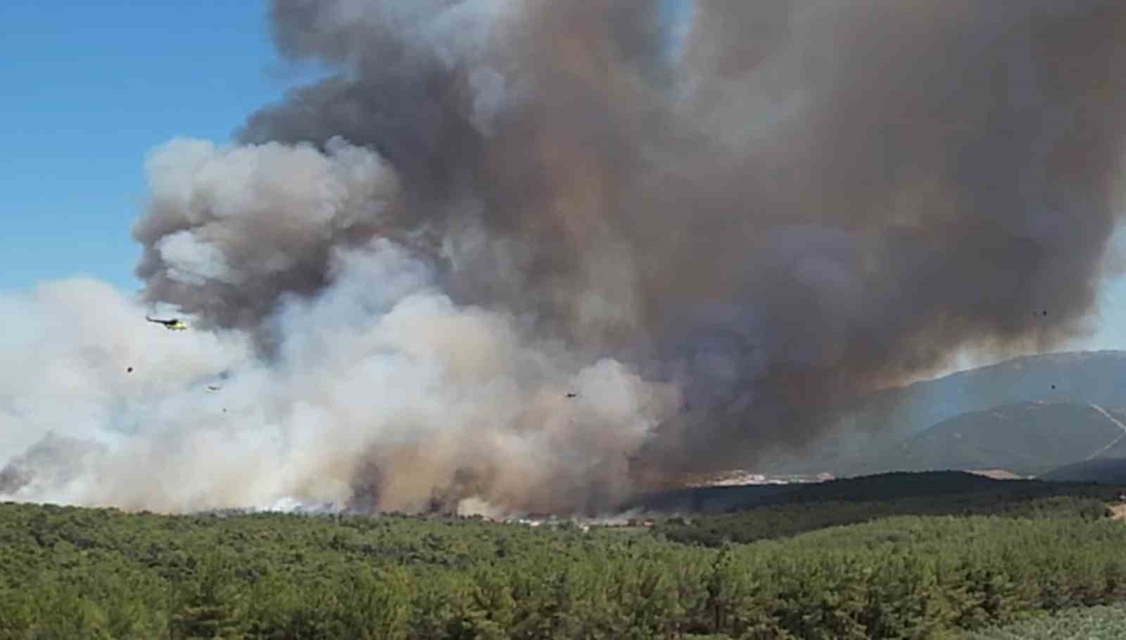 Bornova’daki yangın büyüdü; 8 uçak ve 17 helikopterle müdahale sürüyor