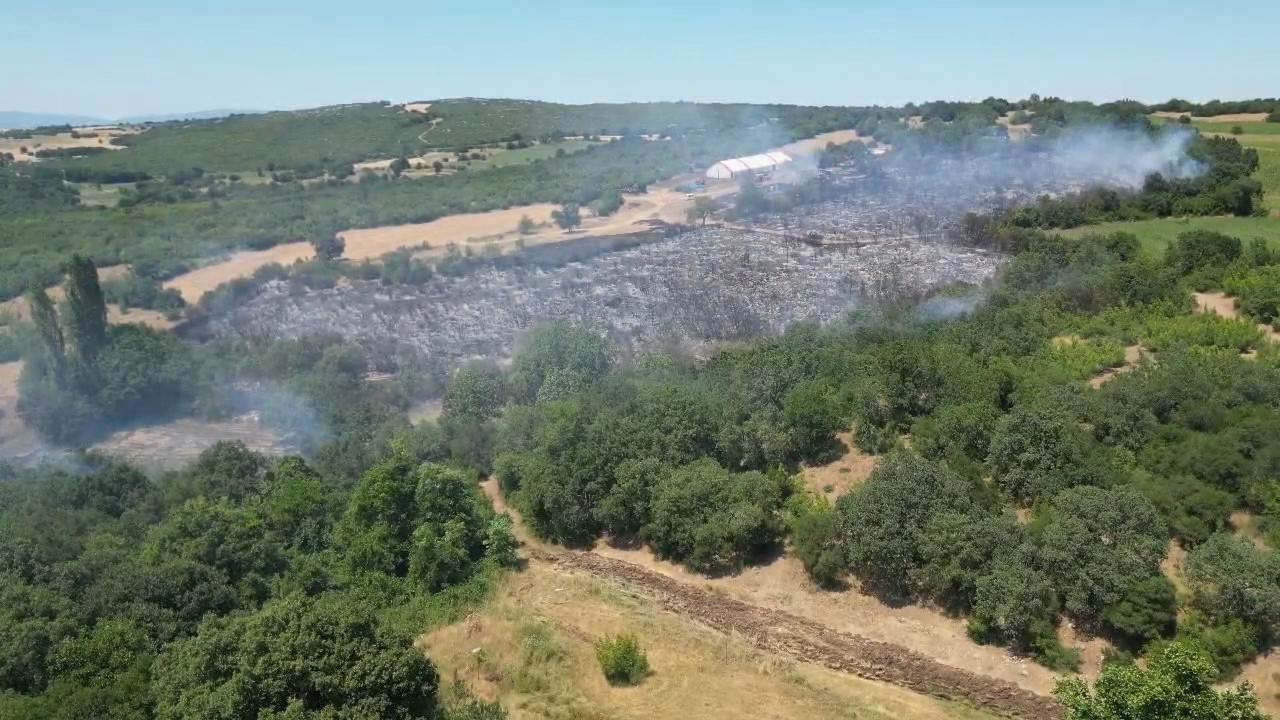İneg&ouml;l&rsquo;de orman yangını kontrol altına aldı, yangının &ccedil;ıkış nedeni ortaya &ccedil;ıktı
