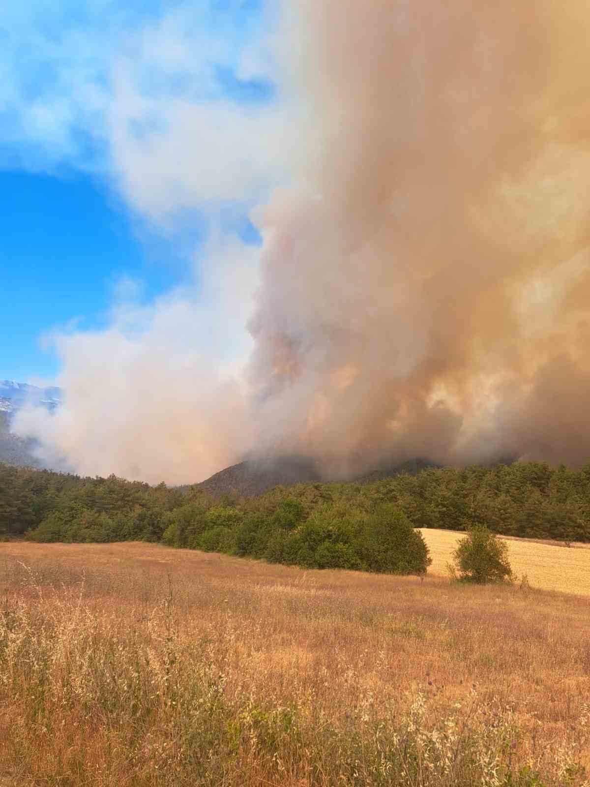Sakarya&rsquo;daki orman yangını nedeniyle Bilecik&rsquo;te 1 k&ouml;y boşaltılıyor
