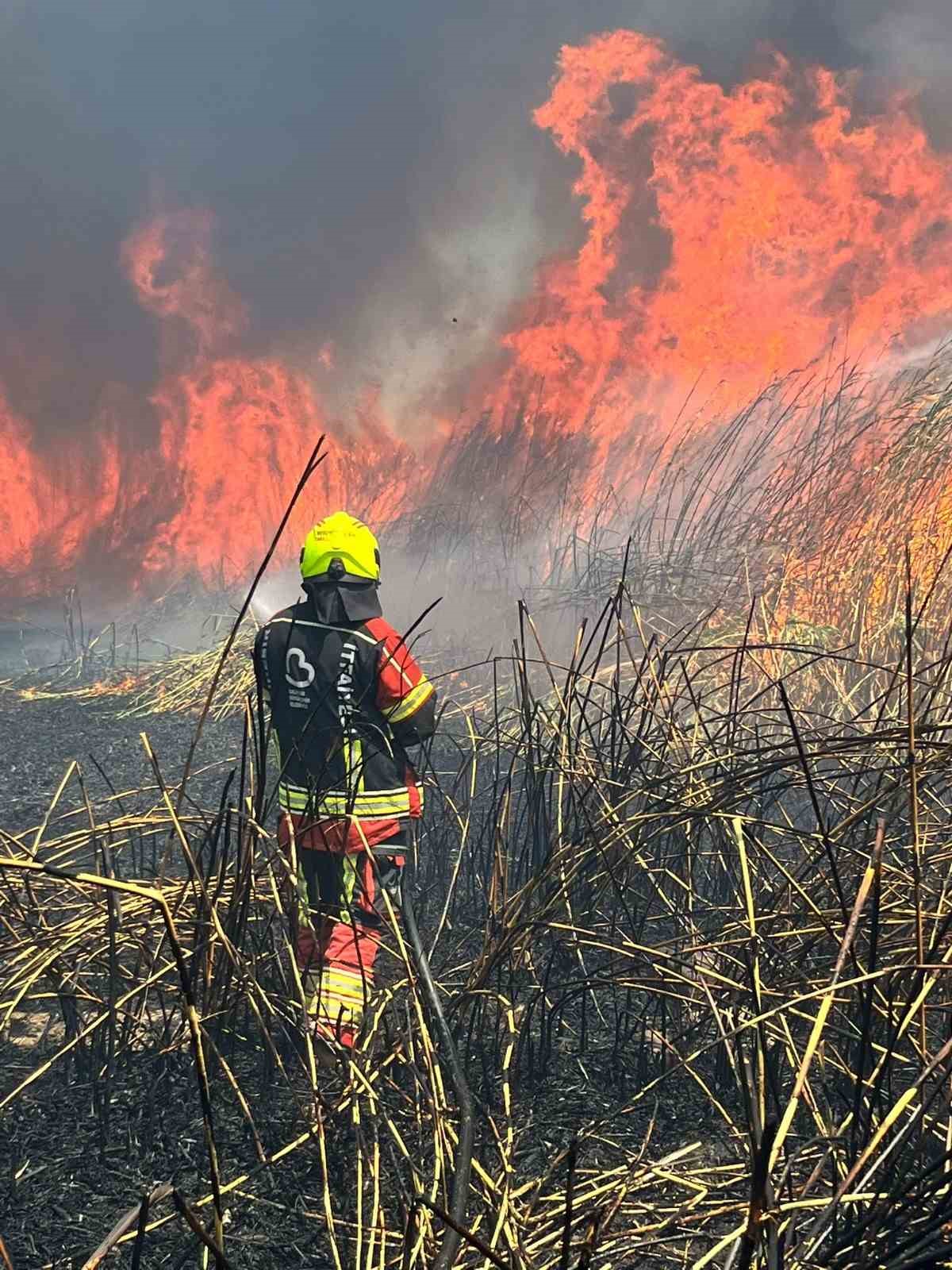 Balıkesir İtfaiyesi 9 g&uuml;nde 730 yangına m&uuml;dahale etti
