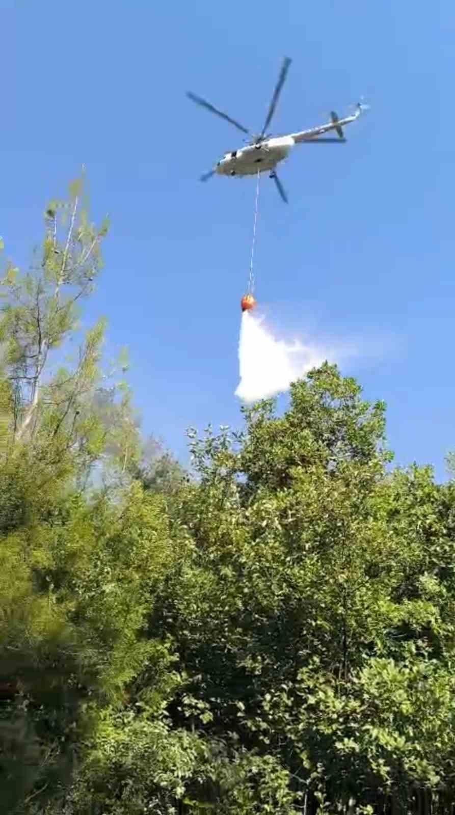 Hatay&rsquo;da orman yangını
