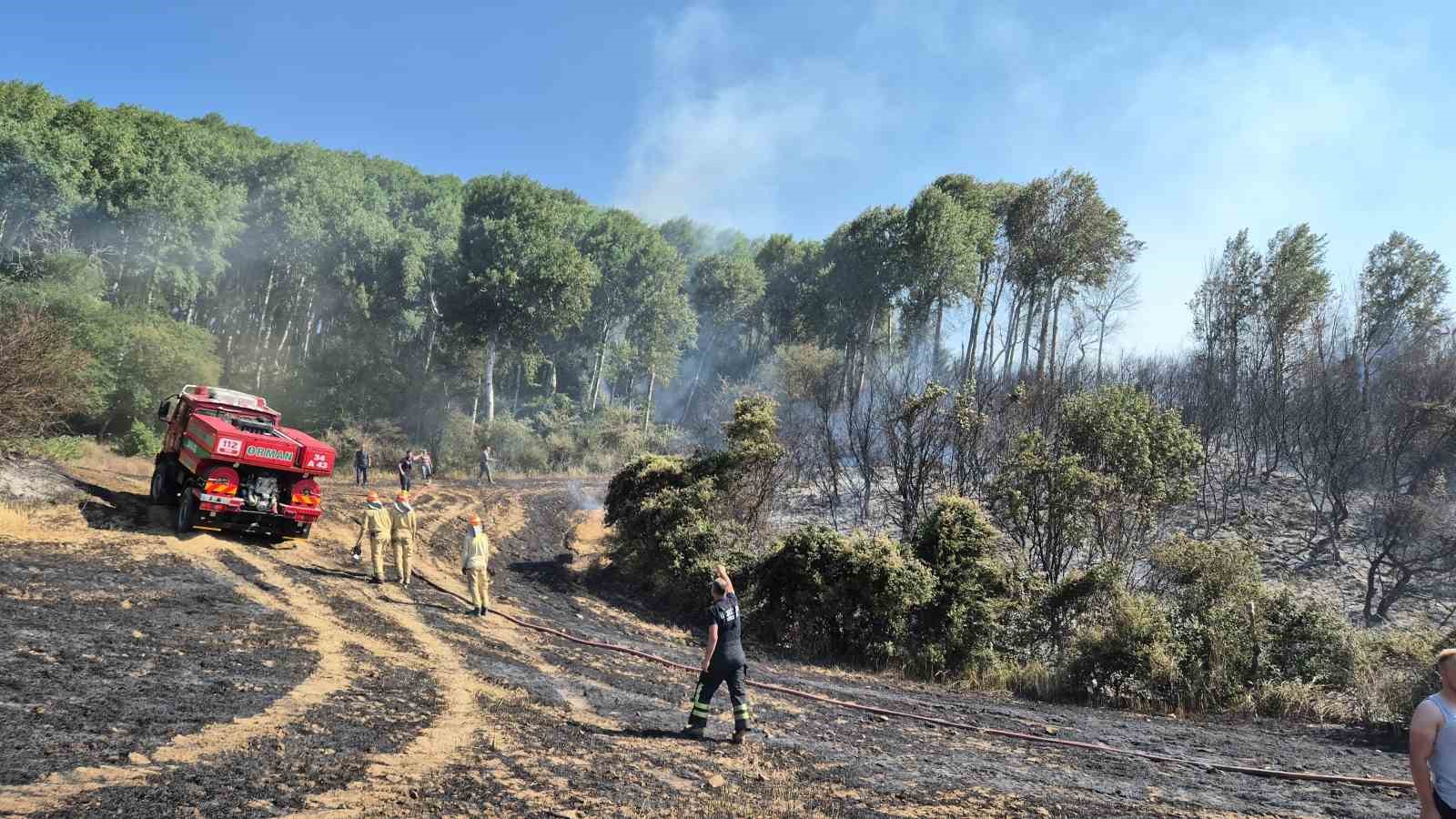 Şarköy’de tarlada çıkan yangın makilik alana sıçradı