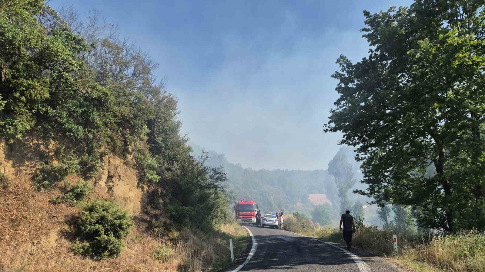 Şarköy’de tarlada çıkan yangın makilik alana sıçradı