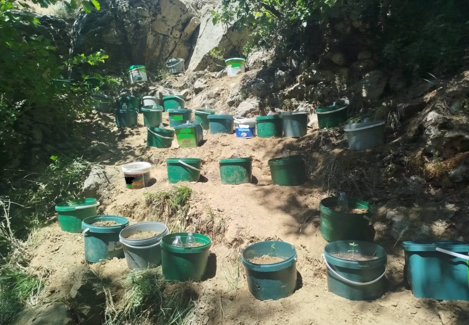 Bing&ouml;l&rsquo;de kesinleşmiş hapis cezası bulunan şahıs yakalandı
