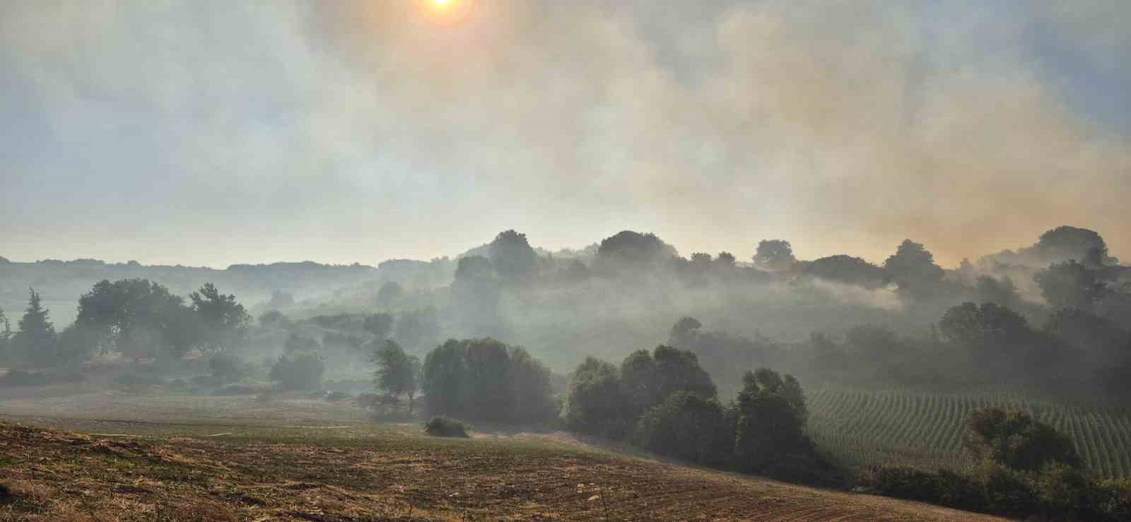 Susurluk Babaköy’de arazi yangını kontrol altına alındı