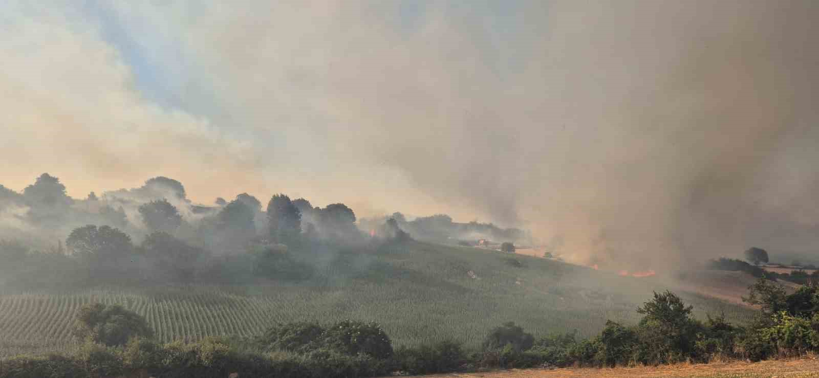 Susurluk Babak&ouml;y&rsquo;de arazi yangını kontrol altına alındı
