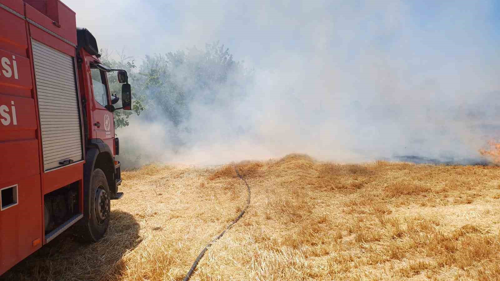 Burdur&rsquo;da &ccedil;ıkan yangında 8 d&ouml;n&uuml;m arazi zarar g&ouml;rd&uuml;
