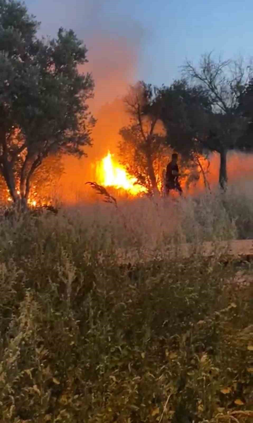 Şalvar gecesi zehir oldu...Havai fişekler k&ouml;y&uuml; yakıyordu
