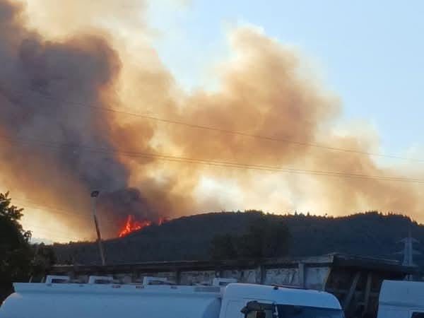 Aliağa’daki orman yangıyla ilgili 1 kişi tutuklandı