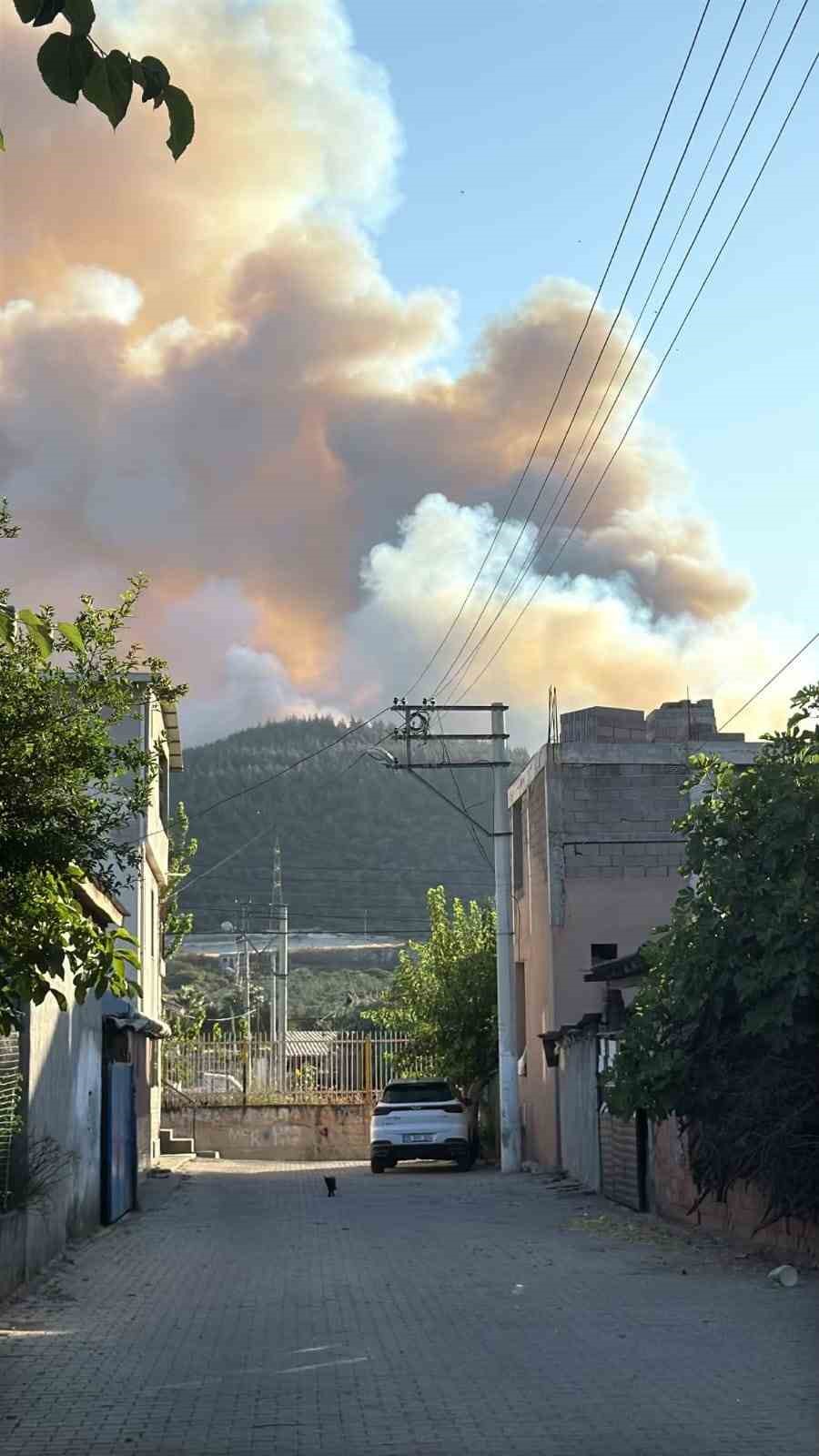 Aliağa&rsquo;daki orman yangıyla ilgili 1 kişi tutuklandı
