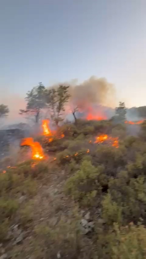 Ara&ccedil; yangını ormana sı&ccedil;radı, ekipler m&uuml;dahale ediyor
