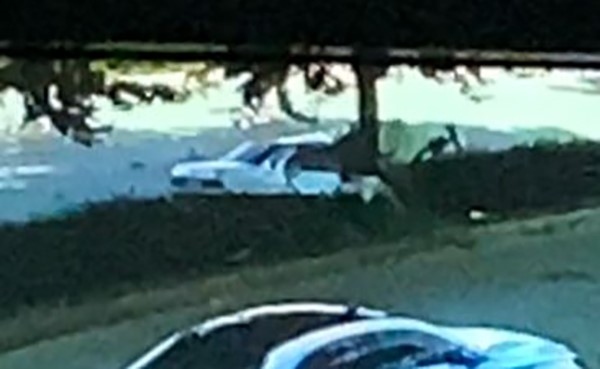 Ağaca çarpan Tofaş’ın hurdaya döndüğü ölümlü kazanın görüntüleri ortaya çıktı