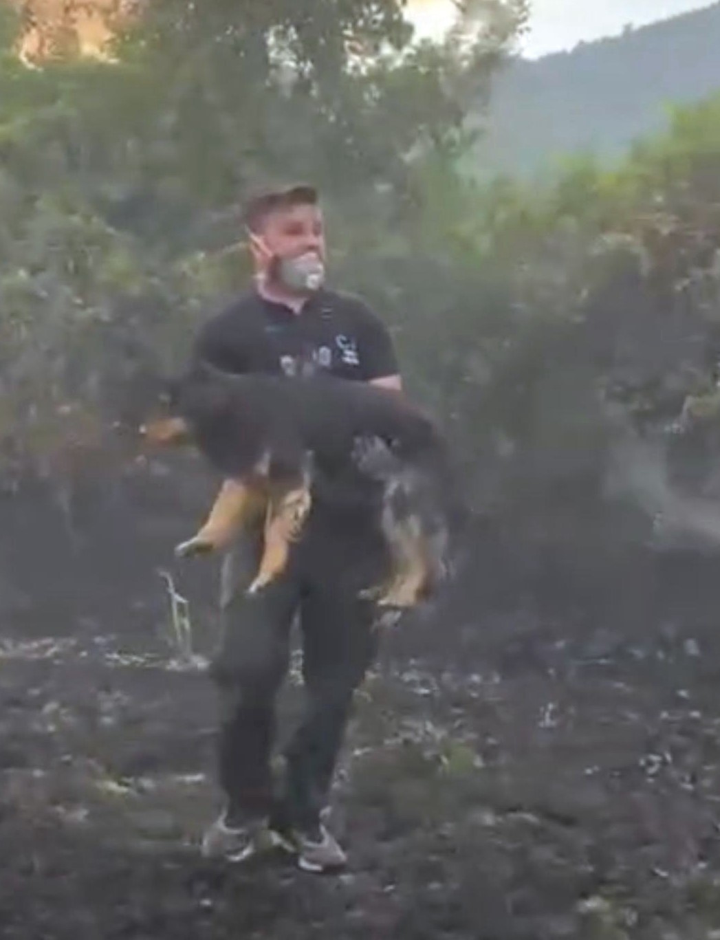 Orman yangınında alevlerin ortasındaki k&ouml;peği kurtaran g&ouml;revli takdir topladı
