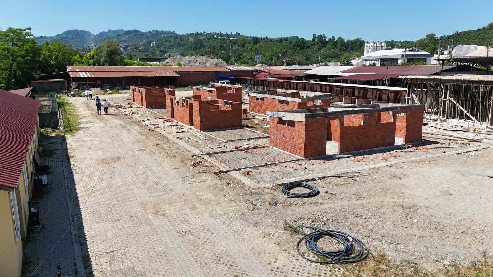 Ordu’da sokak hayvanlarına modern yaşam alanı
