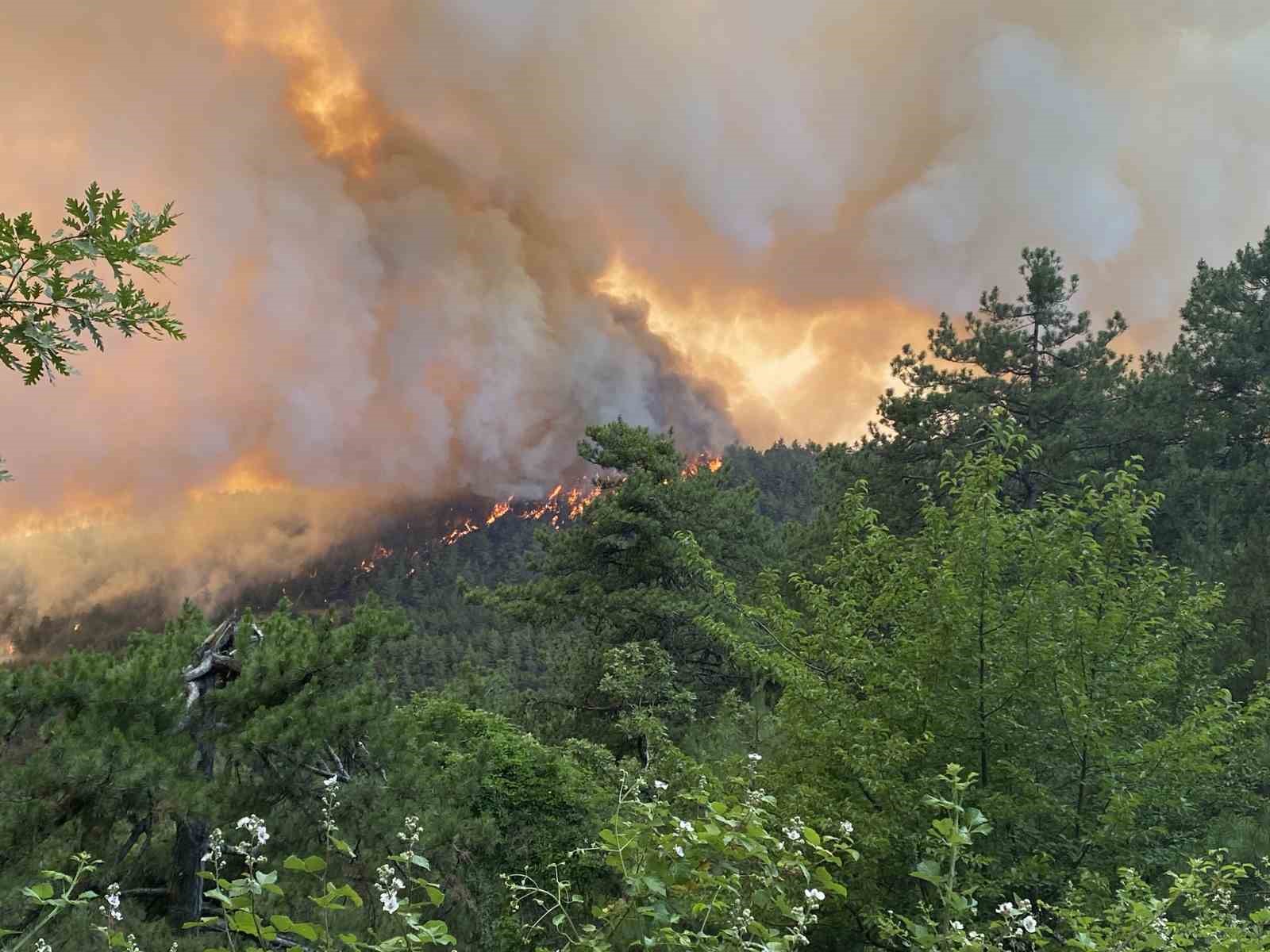 Bilecik&rsquo;e sı&ccedil;rayan orman yangını nedeniyle 7 k&ouml;y yeri boşaltıldı
