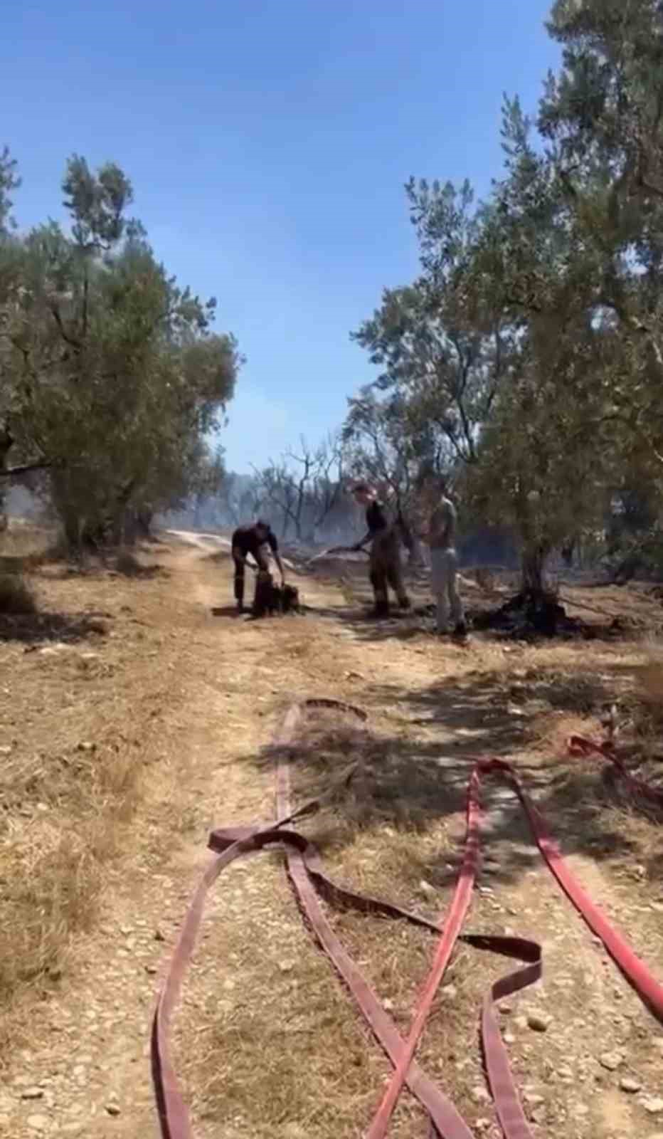 Yangından kurtarılan k&ouml;pekler b&ouml;yle g&ouml;r&uuml;nt&uuml;lendi
