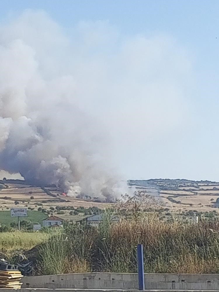 Balıkesir&rsquo;de 11 orman ve arazi yangını meydana geldi
