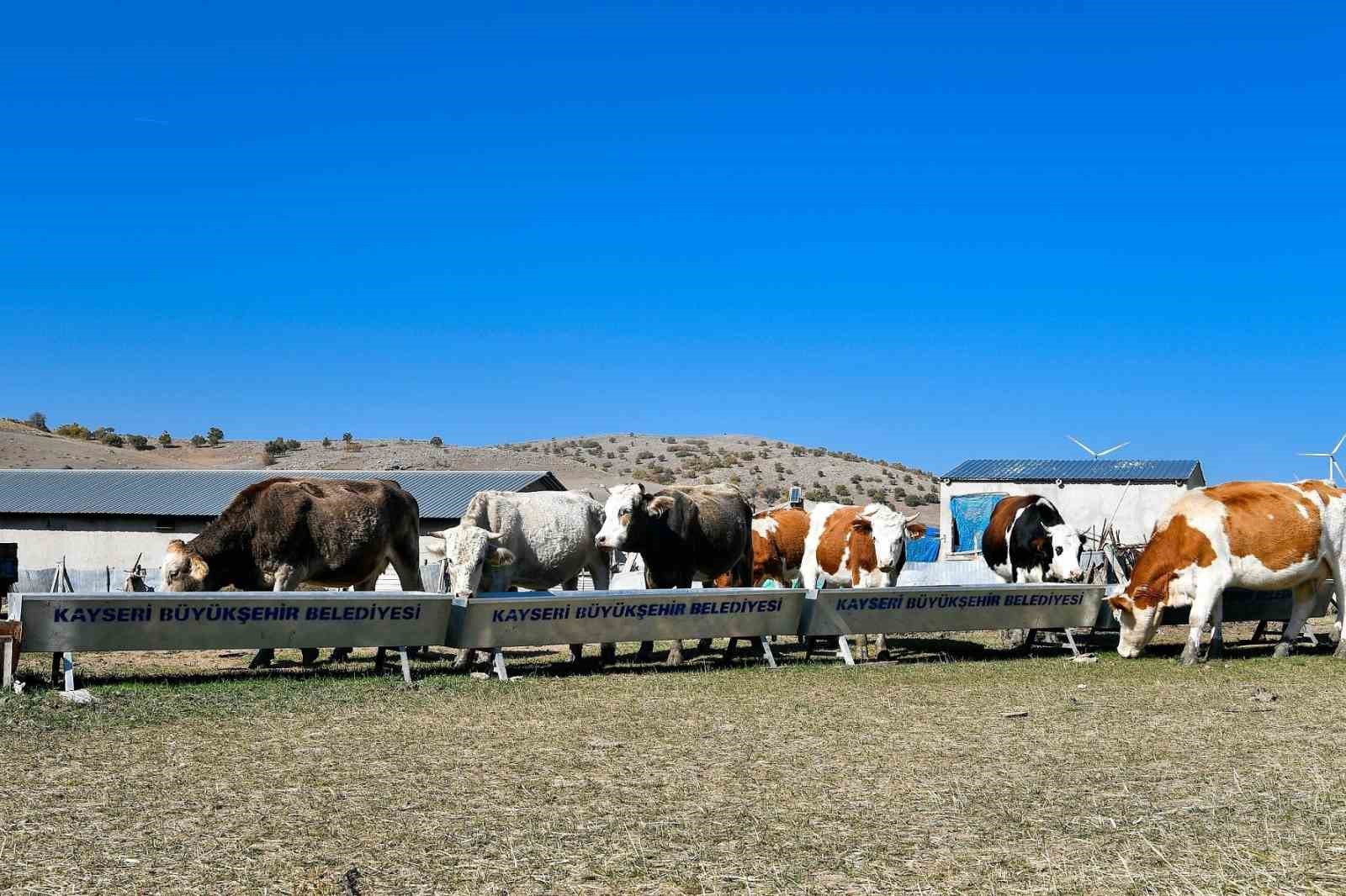 Büyükşehir’den hayvancılığa destek başvurularında dijital kolaylık: su desteği başvuruları artık online