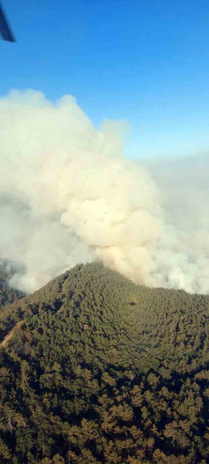 Sakarya&rsquo;da ormanlık alanda &ccedil;ıkan yangına havadan ve karadan m&uuml;dahale s&uuml;r&uuml;yor
