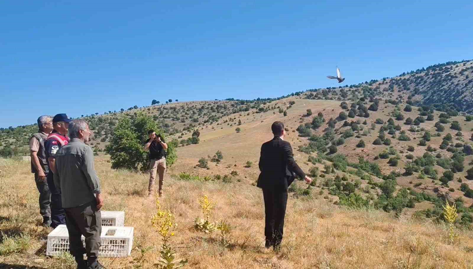 Aydıncık’ta 225 adet keklik doğaya salındı