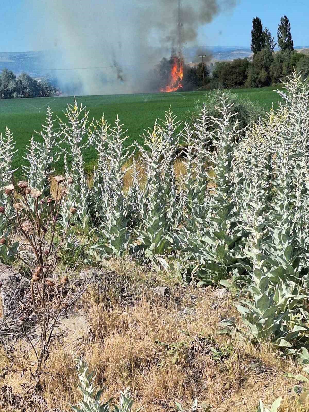 Bingöl’de ağaçlık alanda korkutan yangın