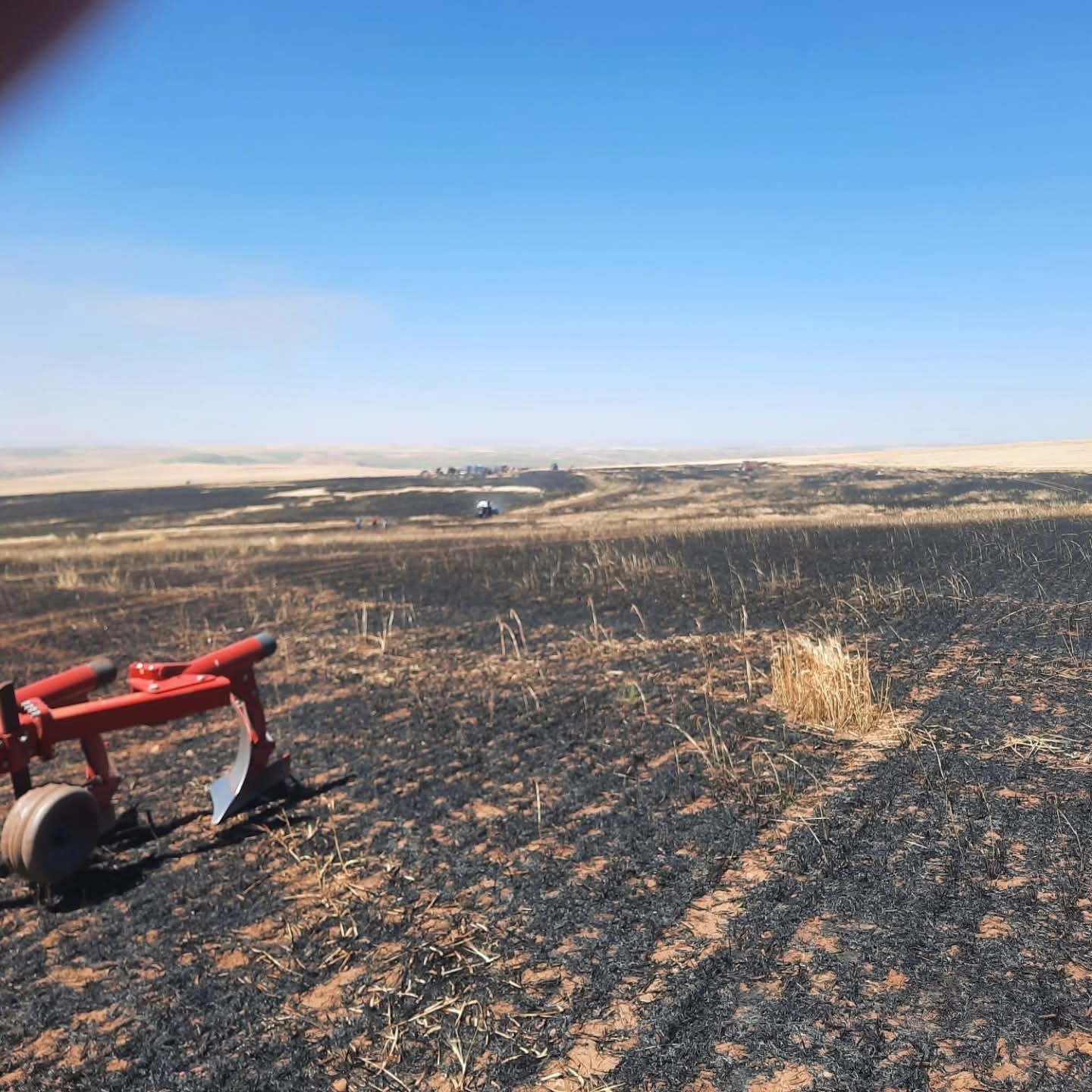 Yozgat&rsquo;ta 100 d&ouml;n&uuml;m ekili alan k&uuml;l oldu

