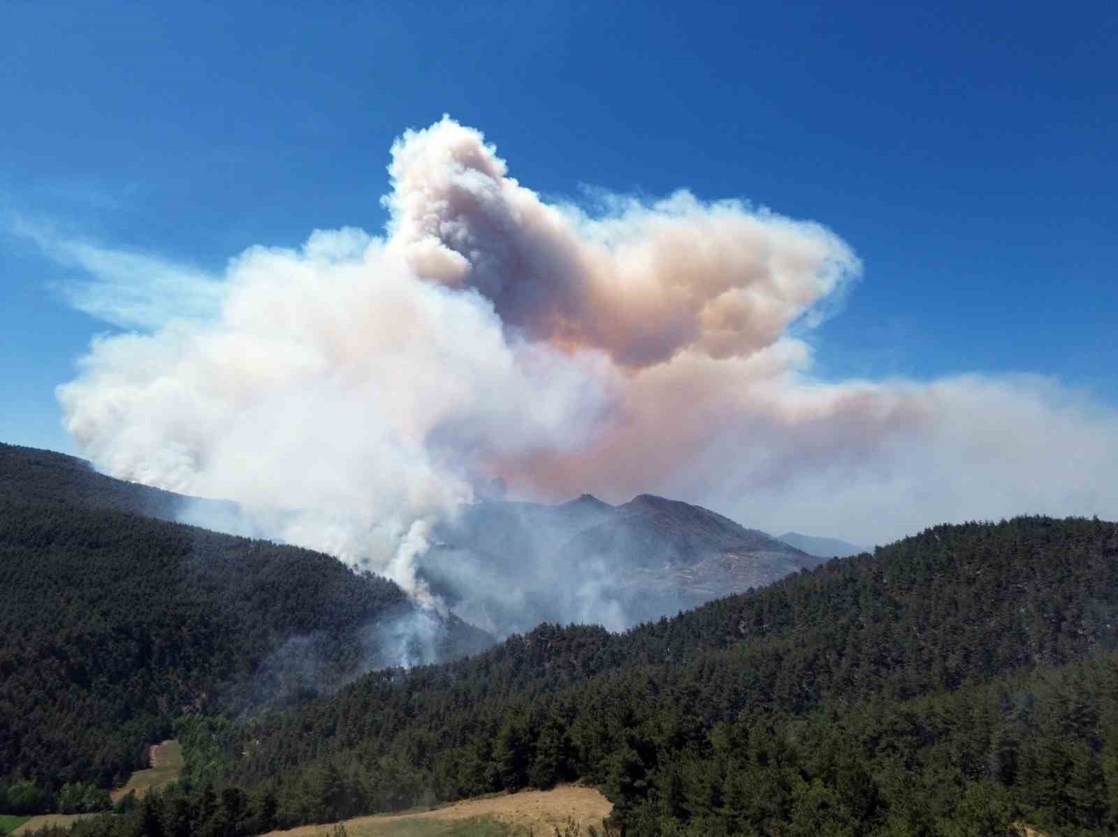 Sakarya’daki orman yangınına 700 personel, 200 araç ve 11 helikopter müdahale ediyor