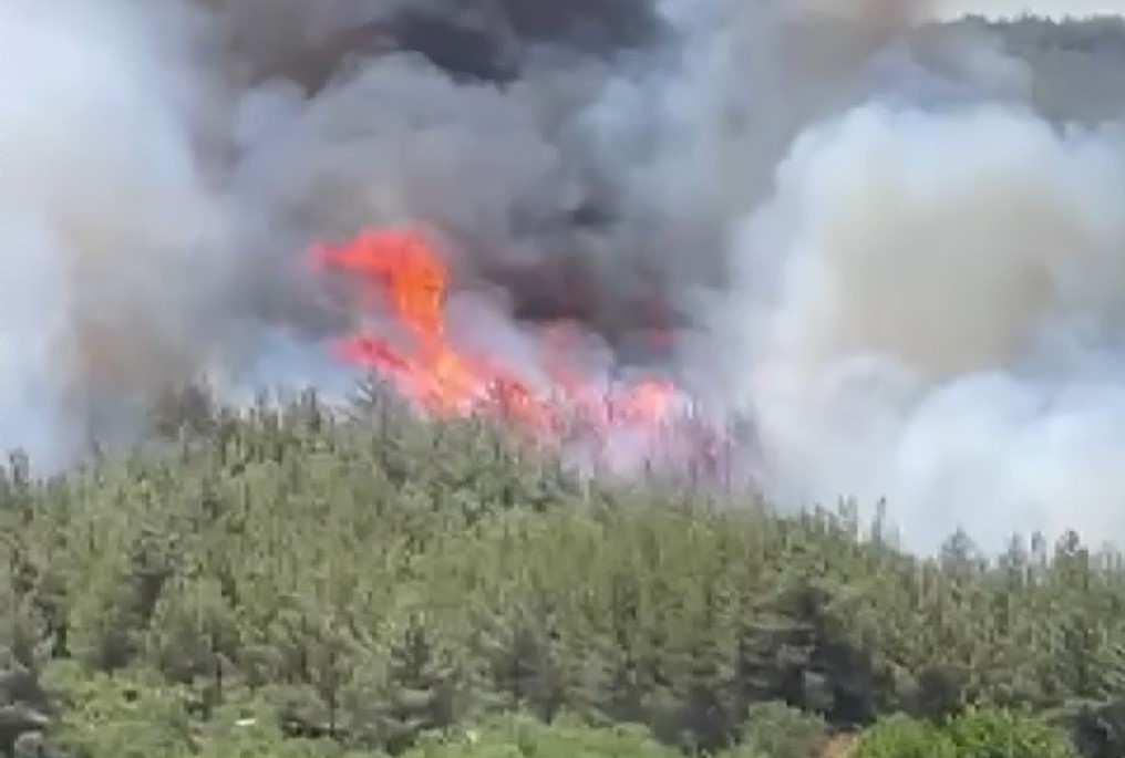 Akhisar’da başlayan orman yangınına müdahale devam ediyor