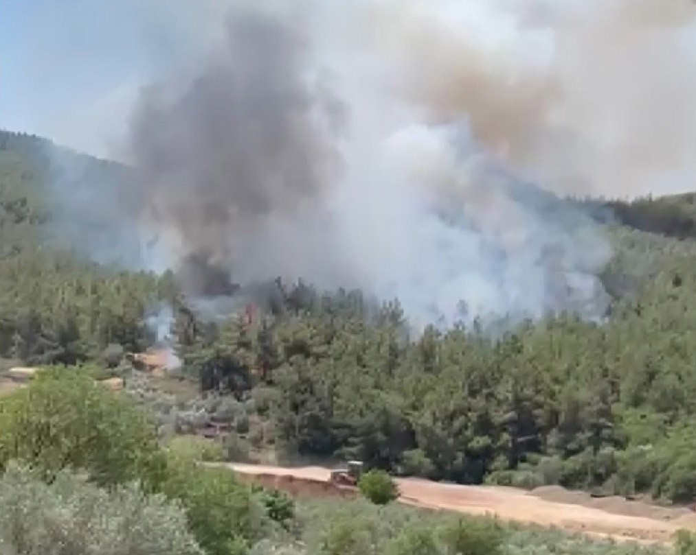 Akhisar&rsquo;da başlayan orman yangınına m&uuml;dahale devam ediyor
