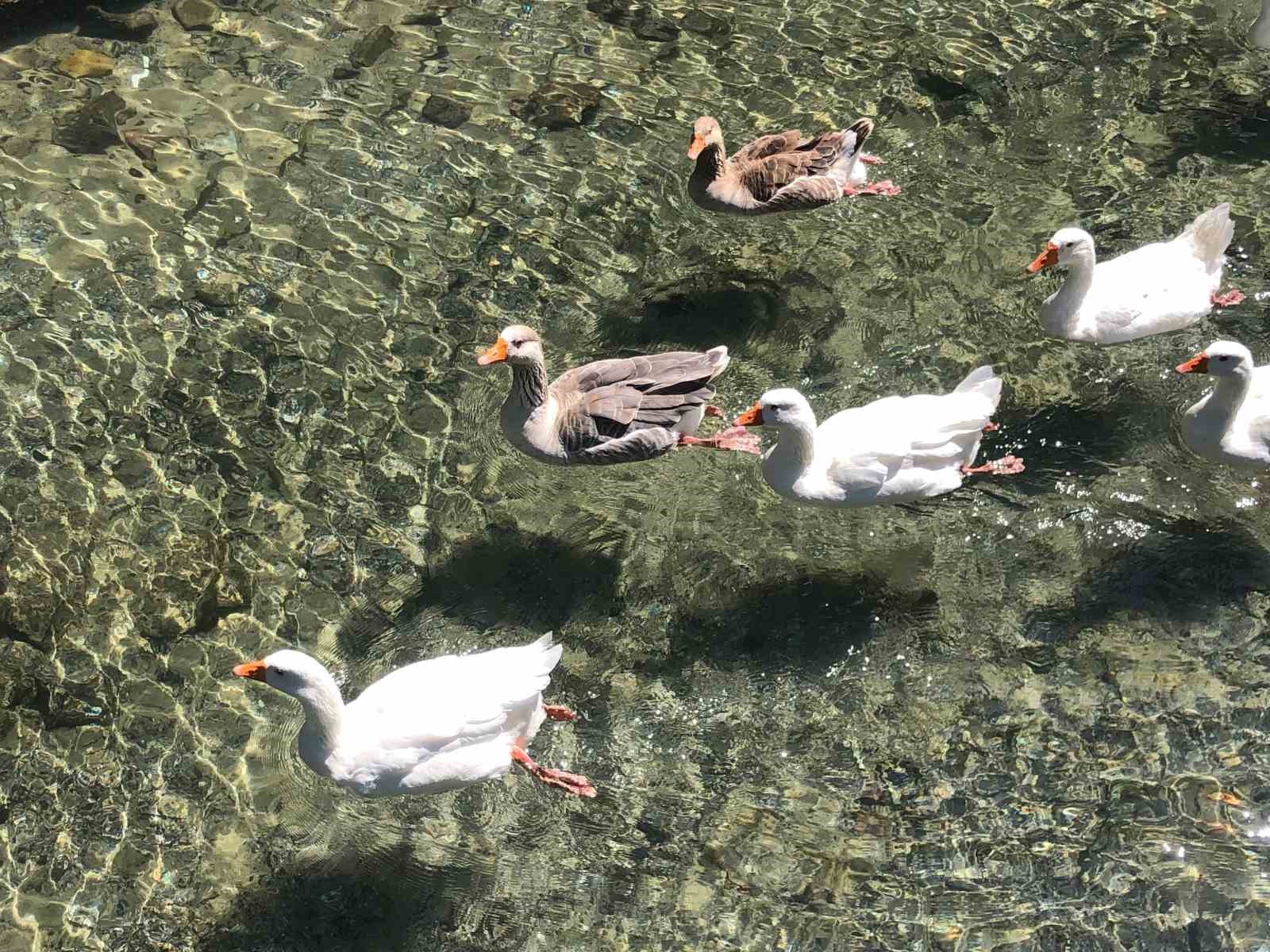 İnönü Havacılık Eğitim Merkezi’ndeki doğal güzellik