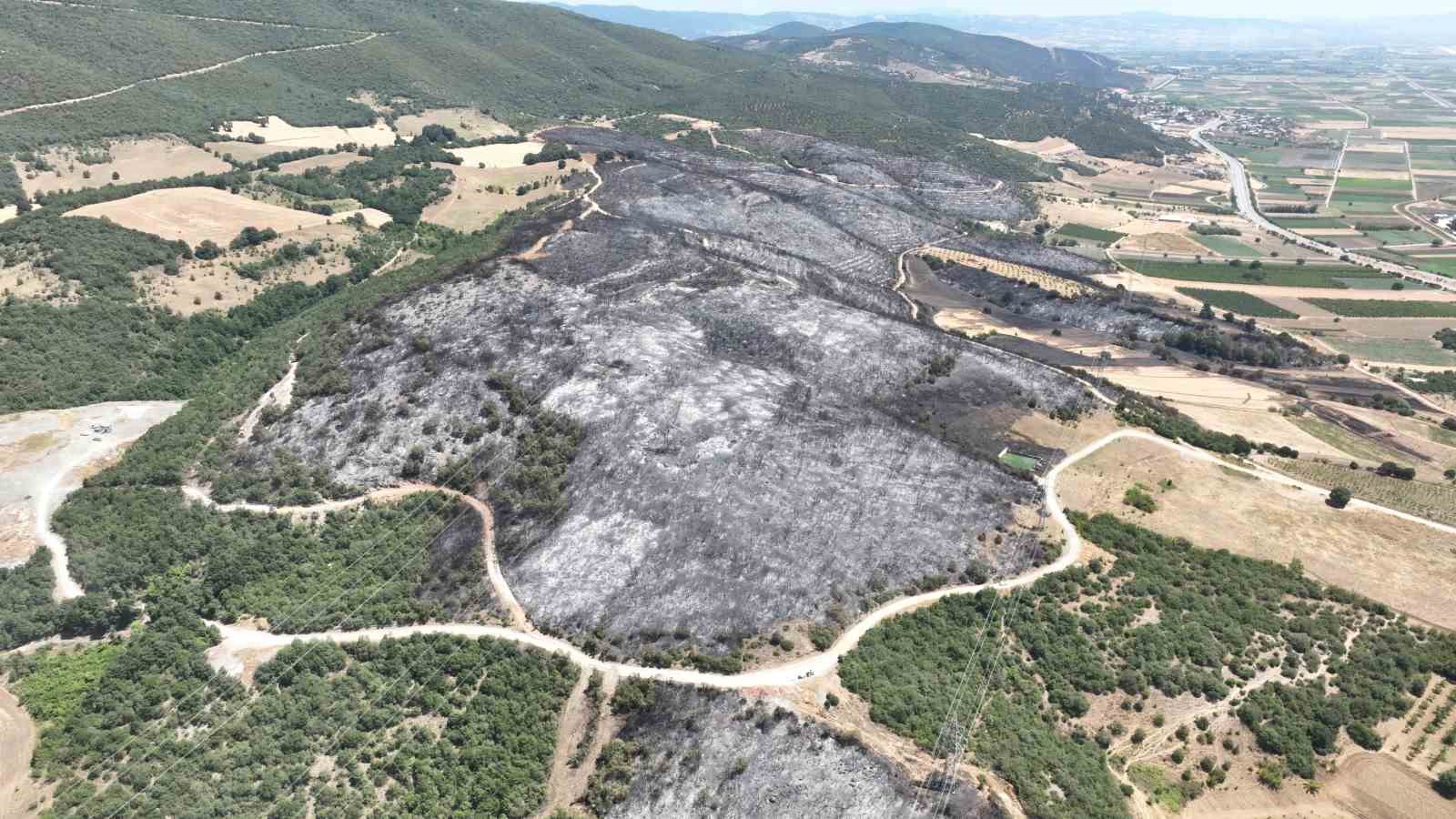 Yenişehir’de 500 futbol sahası büyüklükte alan kül oldu
