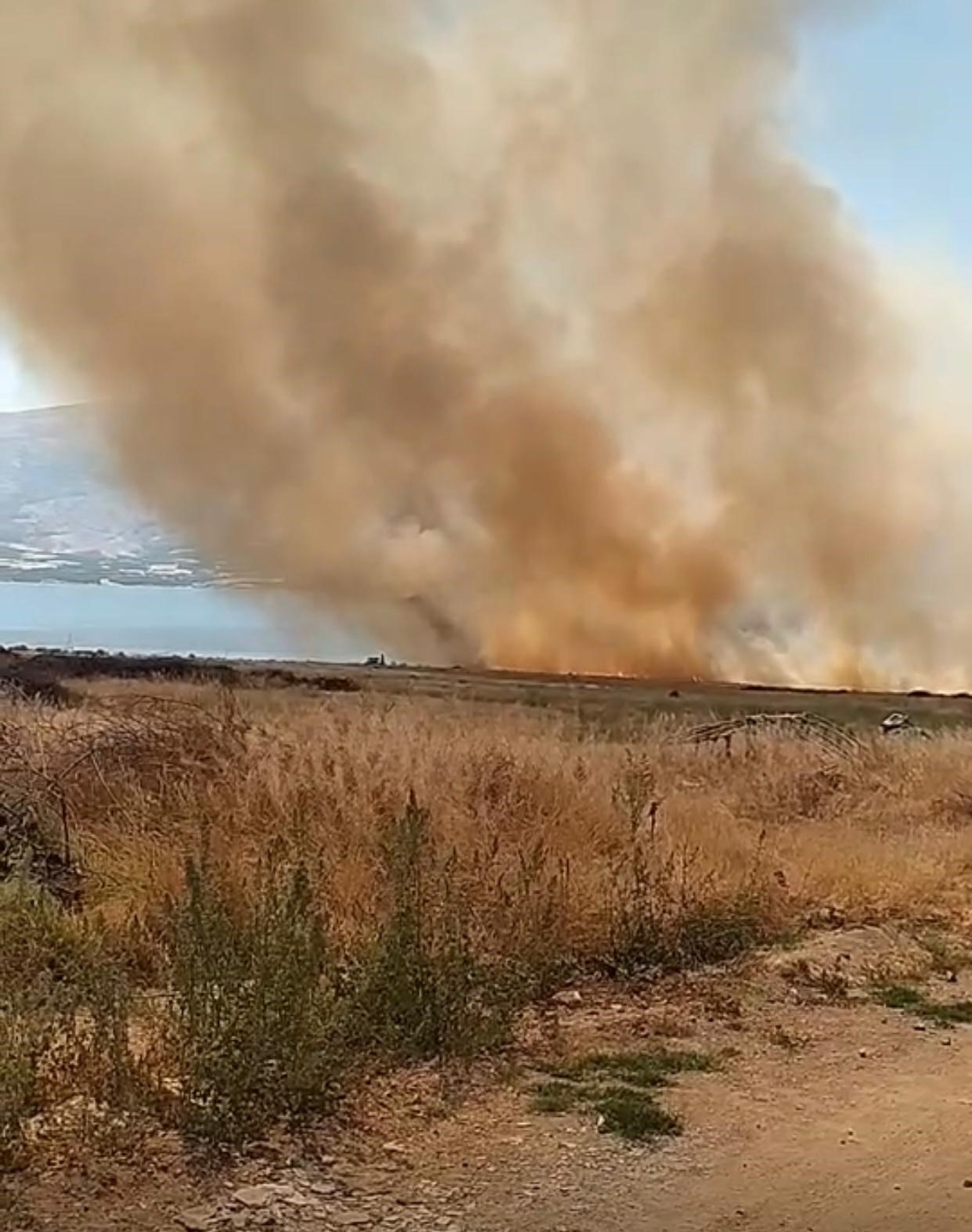 Elazığ’da otluk alanda çıkan yangın korkuttu