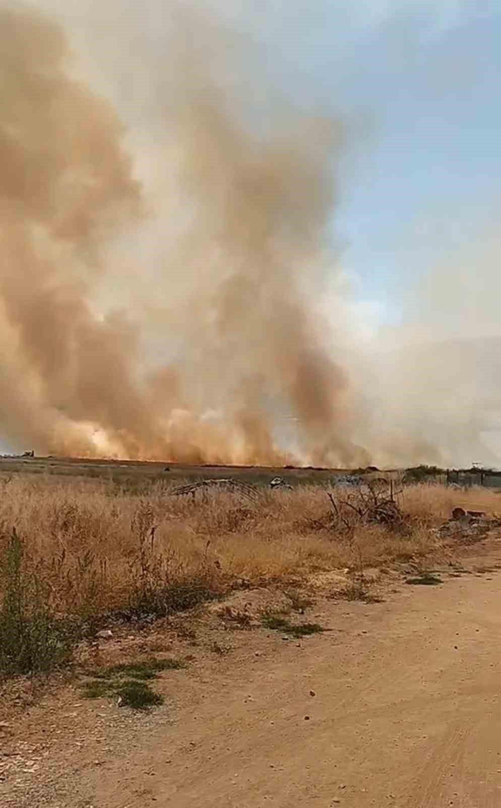 Elazığ&rsquo;da otluk alanda &ccedil;ıkan yangın korkuttu
