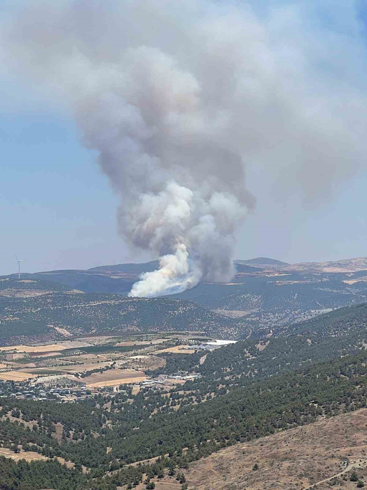Gaziantep&rsquo;te orman yangını: Yangına havadan ve karadan m&uuml;dahale ediliyor
