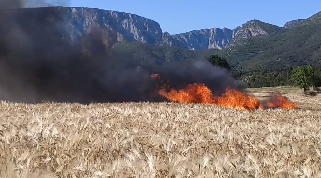 Vezirköprü’de tarlalar alev aldı: 61 dönüm alan kül oldu