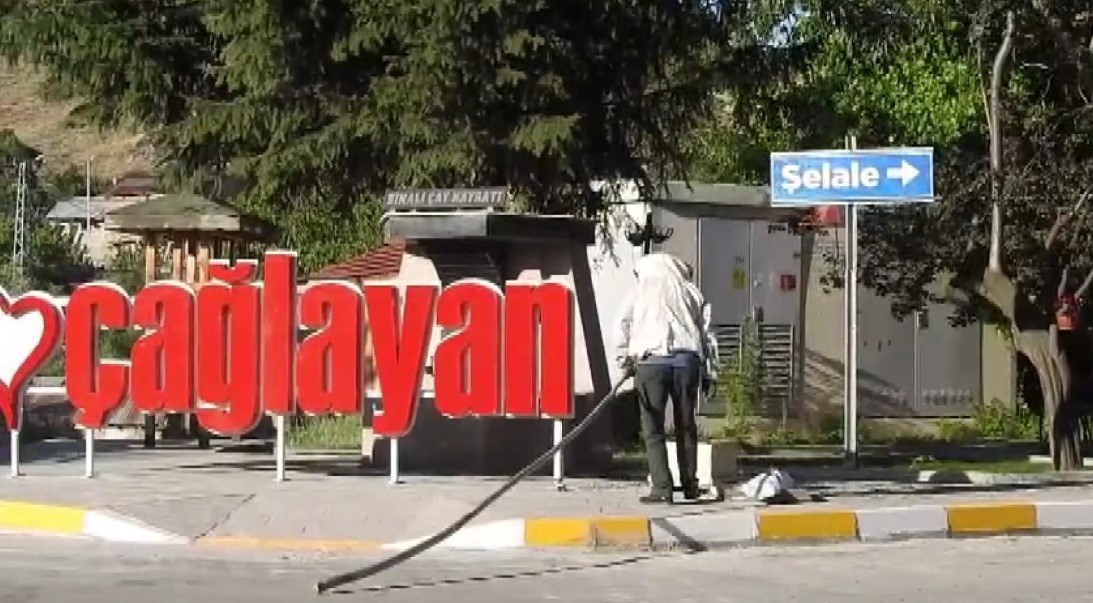 Erzincan’da arı paniği