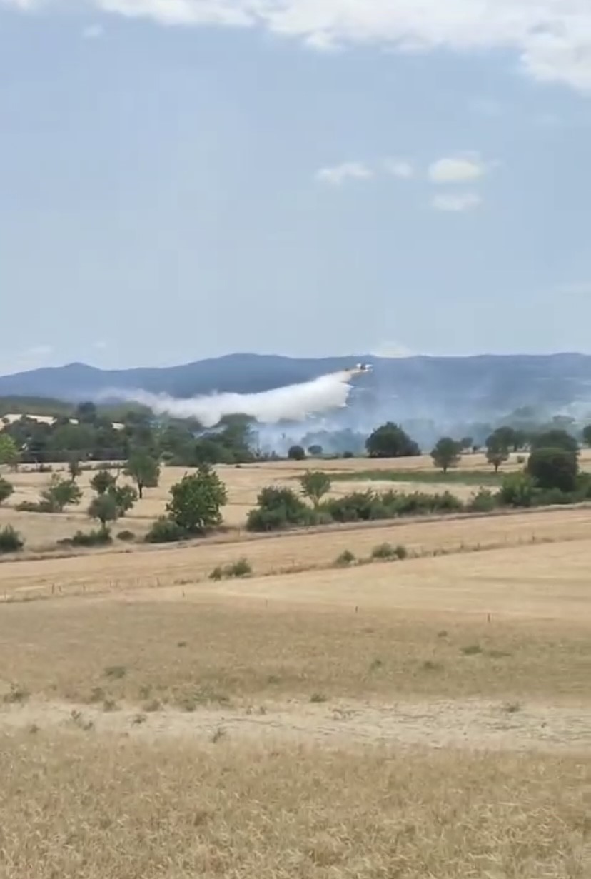 Bayramiç’te tarım arazisinde çıkan yangın kontrol altına alındı