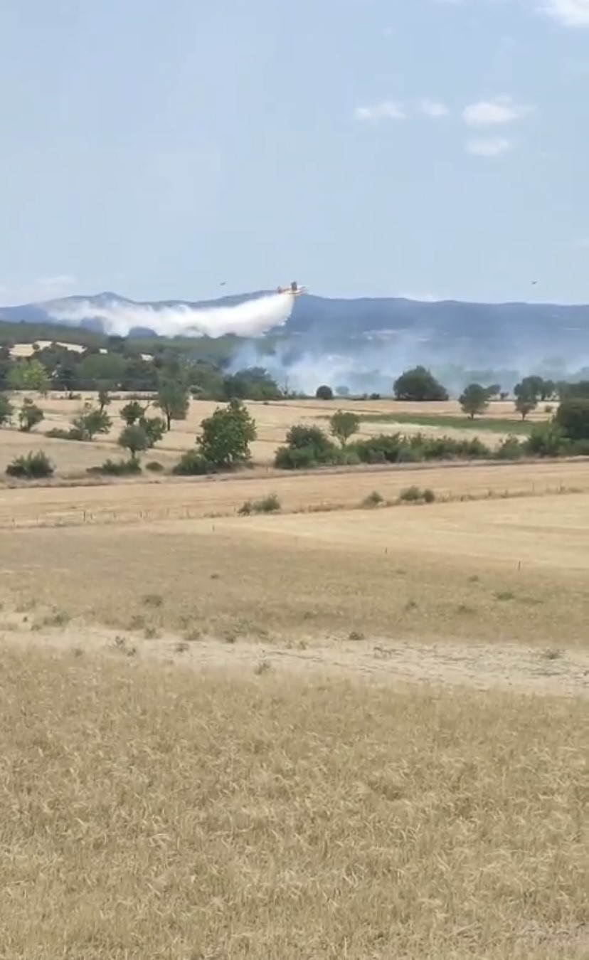 Bayrami&ccedil;&rsquo;te tarım arazisinde &ccedil;ıkan yangın kontrol altına alındı
