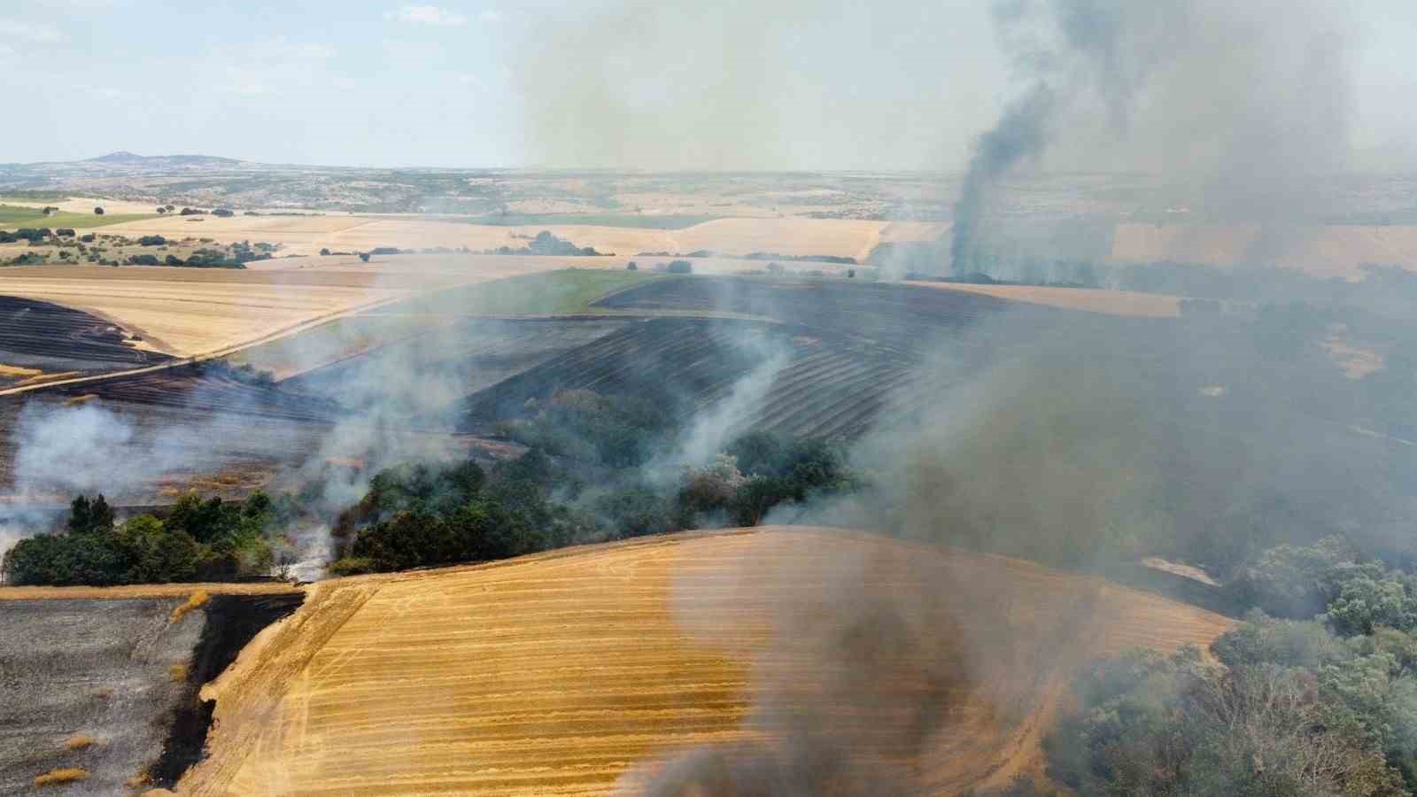Edirne’de tarlada çıkan yangın söndürüldü