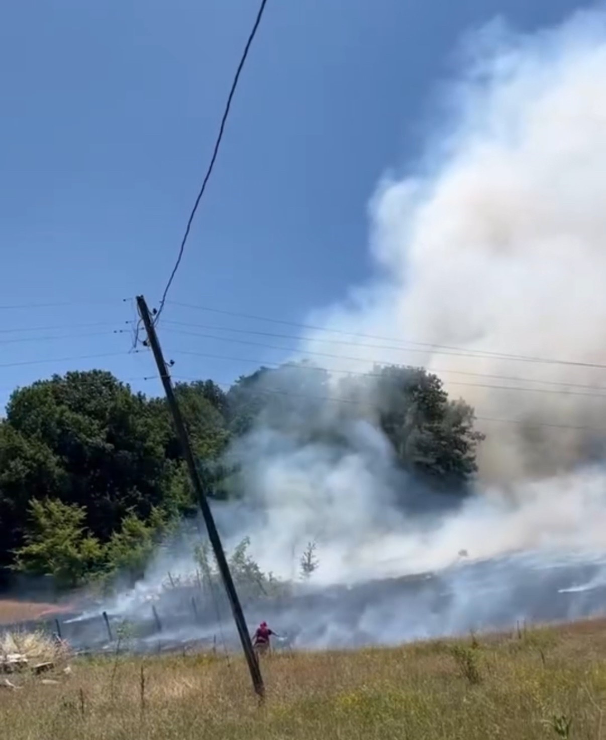 Bahçede çıkan yangın ormana sıçradı