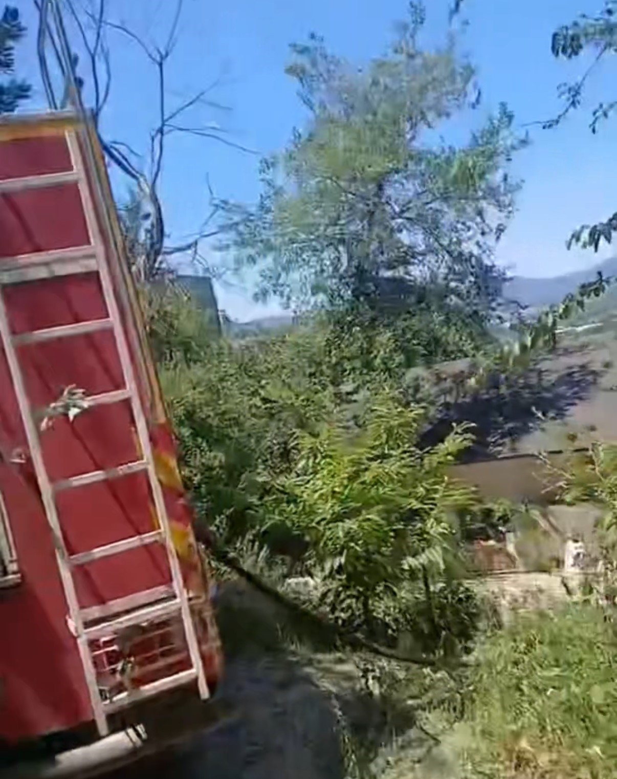 Bah&ccedil;ede &ccedil;ıkan yangın ormana sı&ccedil;radı
