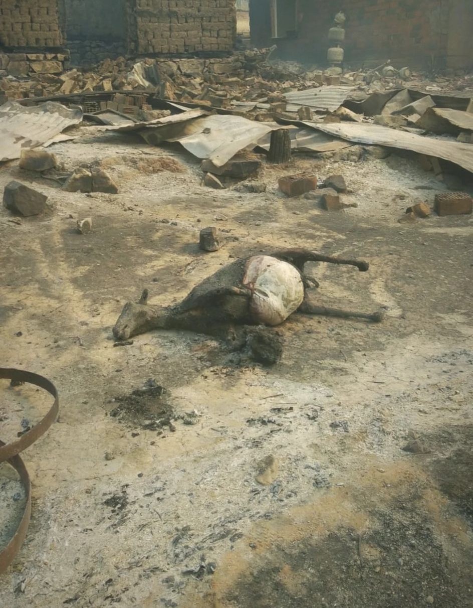 B&uuml;y&uuml;ks&uuml;rmeli k&ouml;y&uuml;nde yangın 3 eve sı&ccedil;radı
