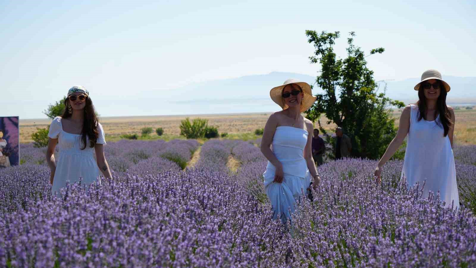 Lavanta tarlalarında mor bir şölen: Festival hasatla başladı, koku atölyeleri mest etti