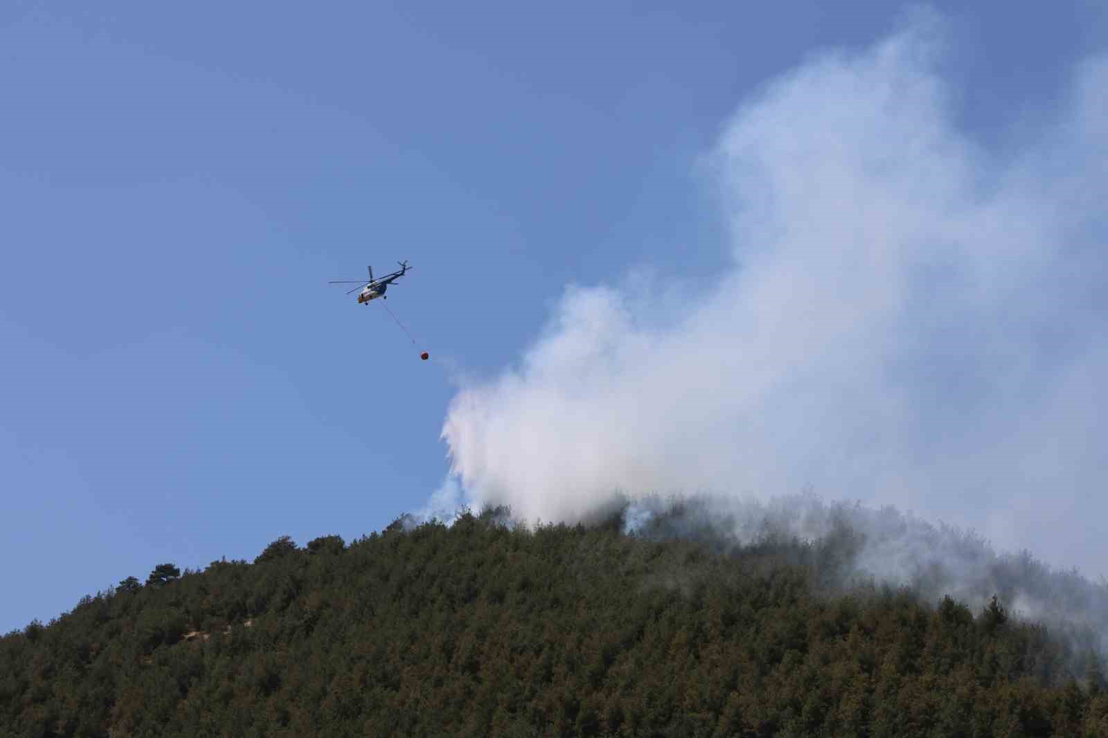 Yakılan anız, orman yangınına neden oldu: Müdahale sürüyor
