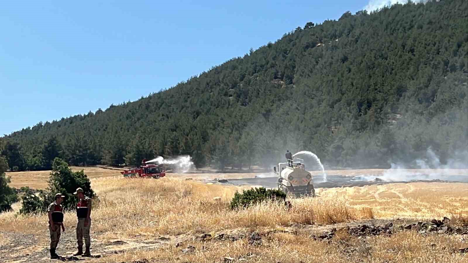Yakılan anız, orman yangınına neden oldu: M&uuml;dahale s&uuml;r&uuml;yor
