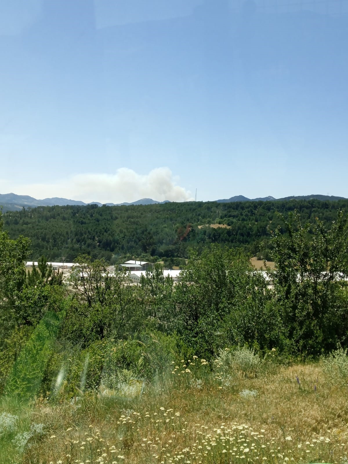 G&ouml;yn&uuml;k&rsquo;te orman yangını başladı: Havadan ve karadan m&uuml;dahale s&uuml;r&uuml;yor
