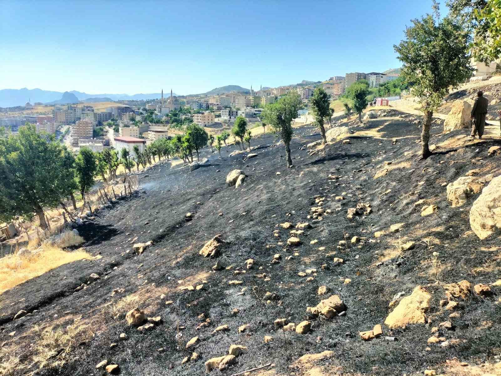 Menemen yapmak isteyen &ccedil;ocuklar yangına neden oldu
